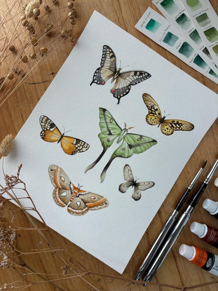 Mariposas, acuarela de 20 × 25 cm