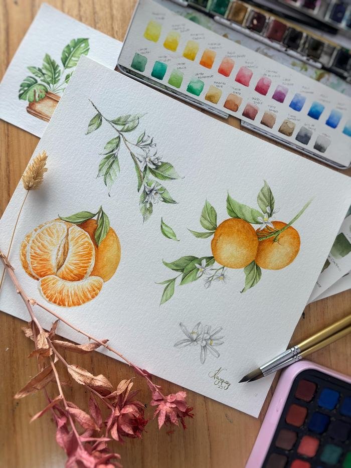 Mandarinas, acuarela de 20 × 25 cm