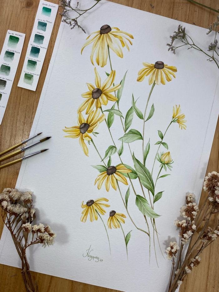Rudbeckia, acuarela de 35 × 50 cm